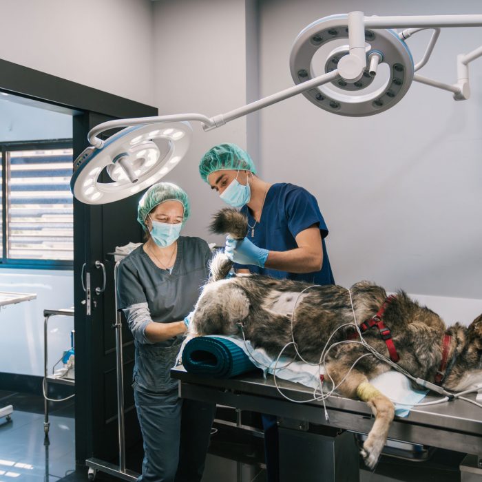 Vivo-Bio-Medical-Equipment-Maintenance-74